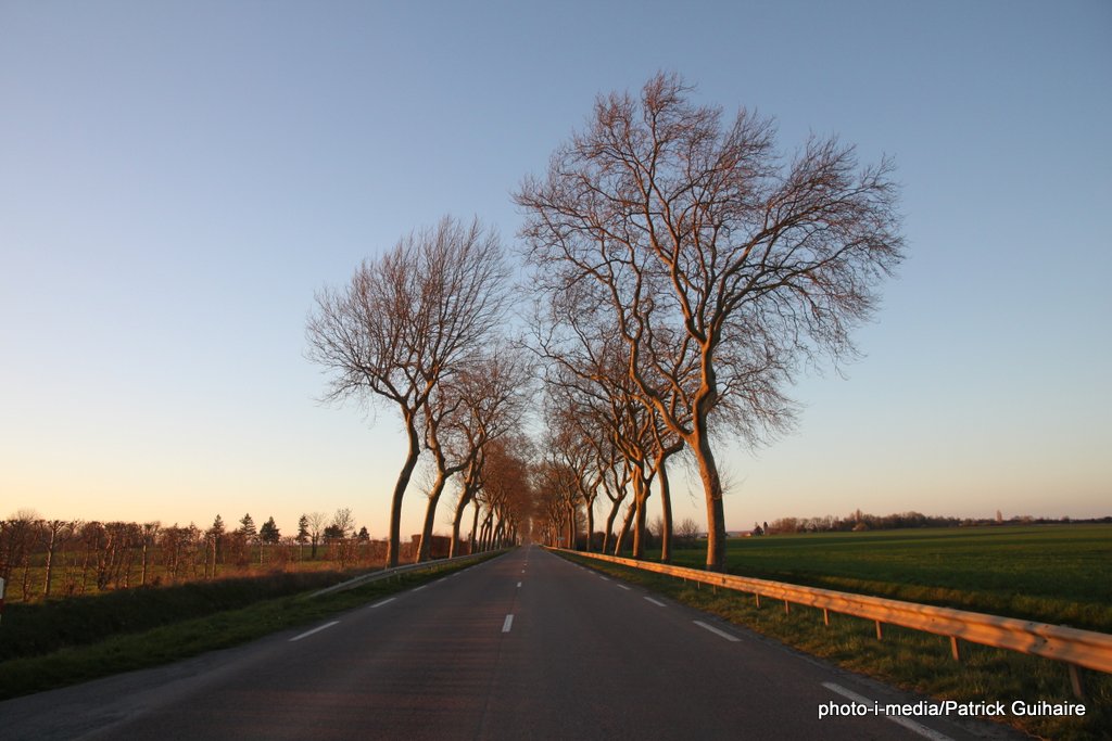 Sur la route d'Argentan...